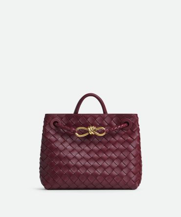 Bottega Veneta Small Andiamo