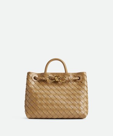 Bottega Veneta Small Andiamo