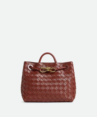 Bottega Veneta Small Andiamo