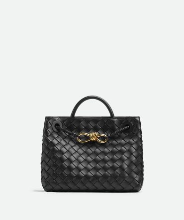 Bottega Veneta Small Andiamo