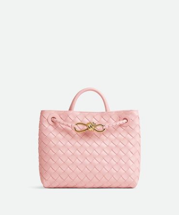Bottega Veneta Small Andiamo