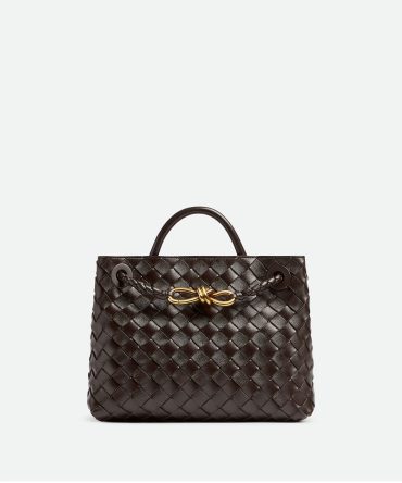Bottega Veneta Small Andiamo