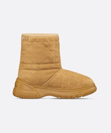 Dior Frost Ankle Boot