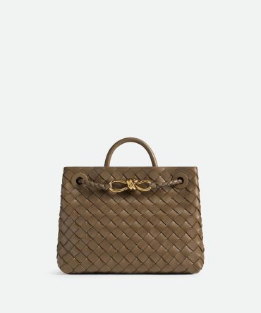 Bottega Veneta Small Andiamo