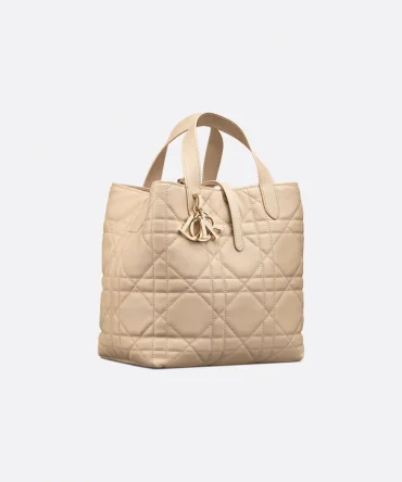 Dior Medium Dior Toujours Vertical Tote Bag