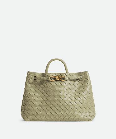 Bottega Veneta Medium Andiamo