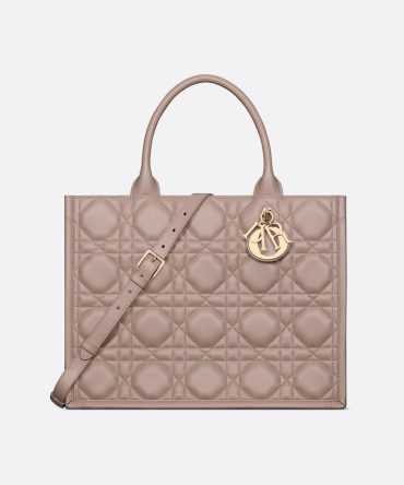 Dior Medium Dior Book Tote HandBags