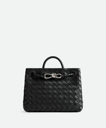 Bottega Veneta Small Andiamo