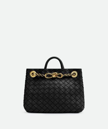 Bottega Veneta Small Andiamo With Chain