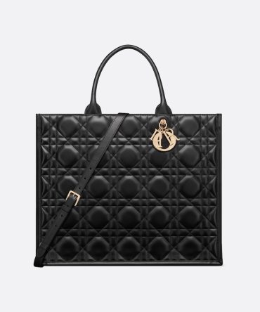 Dior Large Dior Book Tote HandBags