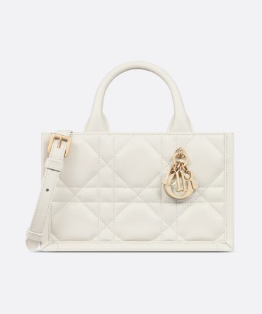 Dior Mini Dior Book Tote