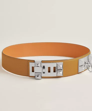 Collier de Chien 50 belt