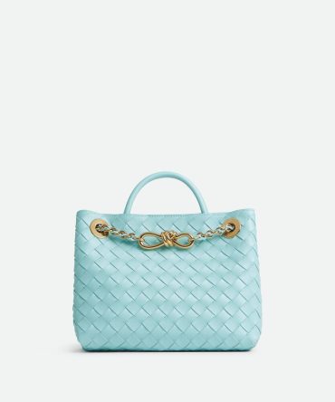 Bottega Veneta Small Andiamo