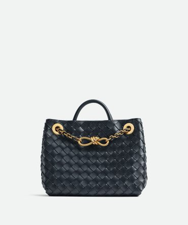 Bottega Veneta Small Andiamo With Chain