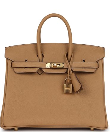 Hermes Birkin 25 Biscuit Togo Gold Hardware